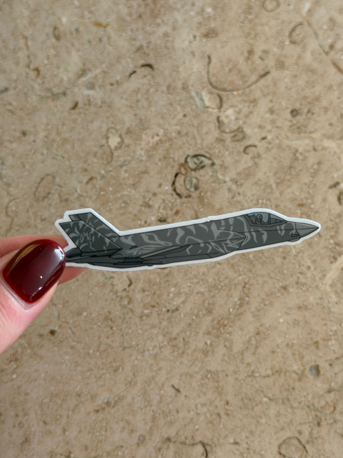 F35B Tiger Livery Fighter Jet Sticker